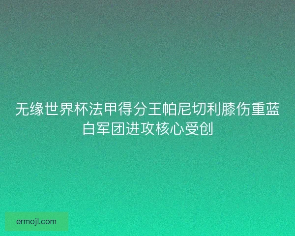 无缘世界杯法甲得分王帕尼切利膝伤重蓝白军团进攻核心受创