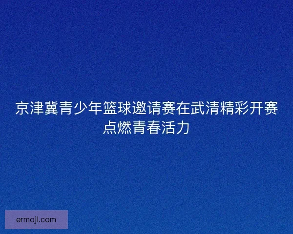 京津冀青少年篮球邀请赛在武清精彩开赛点燃青春活力