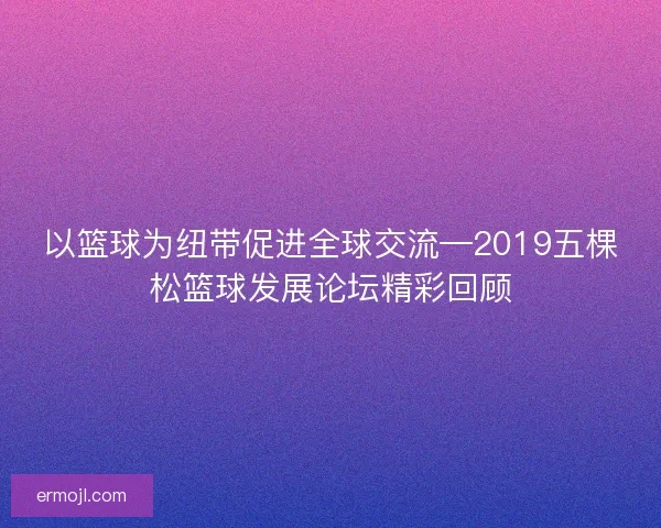 以篮球为纽带促进全球交流—2019五棵松篮球发展论坛精彩回顾