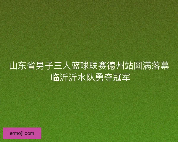 山东省男子三人篮球联赛德州站圆满落幕 临沂沂水队勇夺冠军